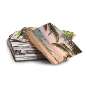 Céu ao entardecer na praia com palmeiras e mar tranquilo.